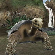 アニマルリゾート 動物園をつくろう!!