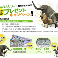 『アニマルリゾート』、「クロサイ」や「フタコブラクダ」など新たな動物が明らかに