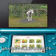 『アニマルリゾート』動物の増やし方が明らかに