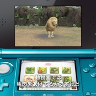 『アニマルリゾート』動物の増やし方が明らかに