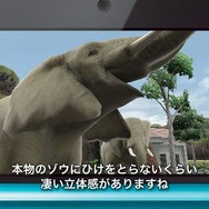 『アニマルリゾート』動物の増やし方が明らかに
