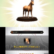 アニマルリゾート 動物園をつくろう!!