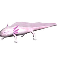 釣りパラダイス!