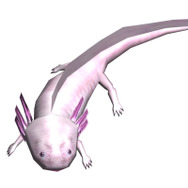 釣りパラダイス!