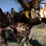 ドラゴンズ ドグマ