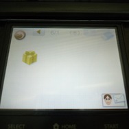 『nintendogs + cats』安座間美優さんの柴犬「きなこ」が配信開始