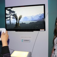 【E3 2011】Wii Uで味わう日本の四季『Japanese Garden』ムービー 