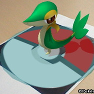 ポケモンの影もちゃんと表示されます