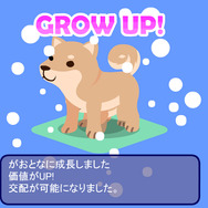 みんなのペットショップ