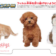 スクラッチカード for ニンテンドー3DS