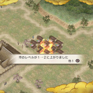 政略:レベルアップ