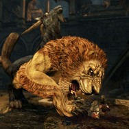 ドラゴンズ ドグマ