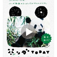 パンダゆかりの地に貼りだされるポスター パンダゆかりの地に貼りだされるポスター