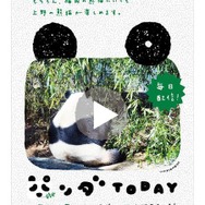 パンダゆかりの地に貼りだされるポスター パンダゆかりの地に貼りだされるポスター