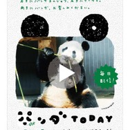 パンダゆかりの地に貼りだされるポスター パンダゆかりの地に貼りだされるポスター