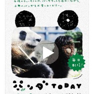 パンダゆかりの地に貼りだされるポスター パンダゆかりの地に貼りだされるポスター