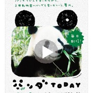 パンダゆかりの地に貼りだされるポスター パンダゆかりの地に貼りだされるポスター