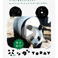 パンダゆかりの地に貼りだされるポスター パンダゆかりの地に貼りだされるポスター