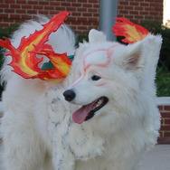 超キュートな『大神』アマテラスコスプレ