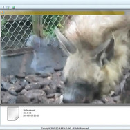 ノートPC上で、MOVファイルを再生する。モバイルWiMAXルータでの接続だが、動画が止まったりエラーすることはなかった