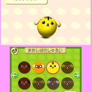 豆しばの種類はさまざま