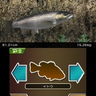 過去に釣った魚たち
