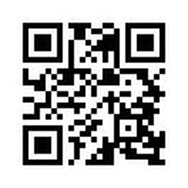 喧嘩番長 全国制覇