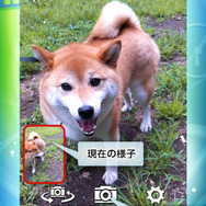 過去カメラ パストカメラ