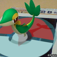 好きなポケモンを撮影しよう