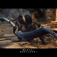 ドラゴンズ ドグマ