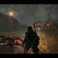 ドラゴンズ ドグマ