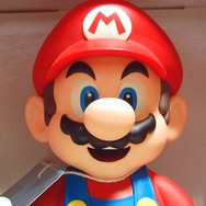 カワイイ顔をしています