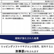 法律改正の概要（ACCS公開資料より）