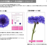 「みんなの花図鑑 vol.1」花の詳細ページイメージ