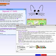 (C)2006, 2007 Nintendo Co,. Ltd. 