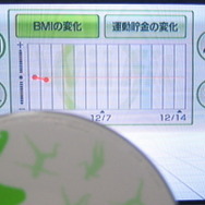 「Wii Fitチャンネル」を使ってみた