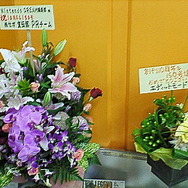 ニンドリ博レポート