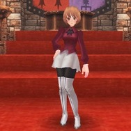 アイリスフィールセット(女性共通防具)