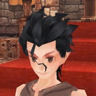 ランサーウィッグ(アクセサリ)