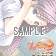 (c)PrincessSoft (c)TAITO CORP.2007