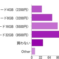 購入予定の人が買うメモリーカードの容量