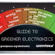 任天堂、グリーンピースの報告についてコメント