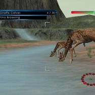 ワイルドアース: アフリカンサファリ