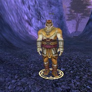 パーフェクト ワールド -完美世界-