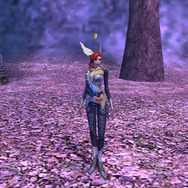 パーフェクト ワールド -完美世界-