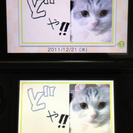 『ニンテンドー3DSカメラ』で撮った写真をはりつけて。もちろん3D。