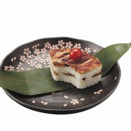 大江戸戦士トノサマン 