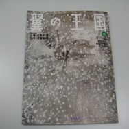 DSを航空機内で楽しむルール、機内誌でも紹介