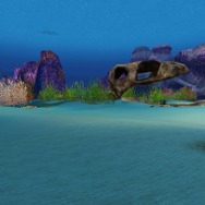 ホーリービースト