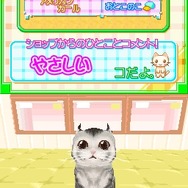 かわいい子猫DS